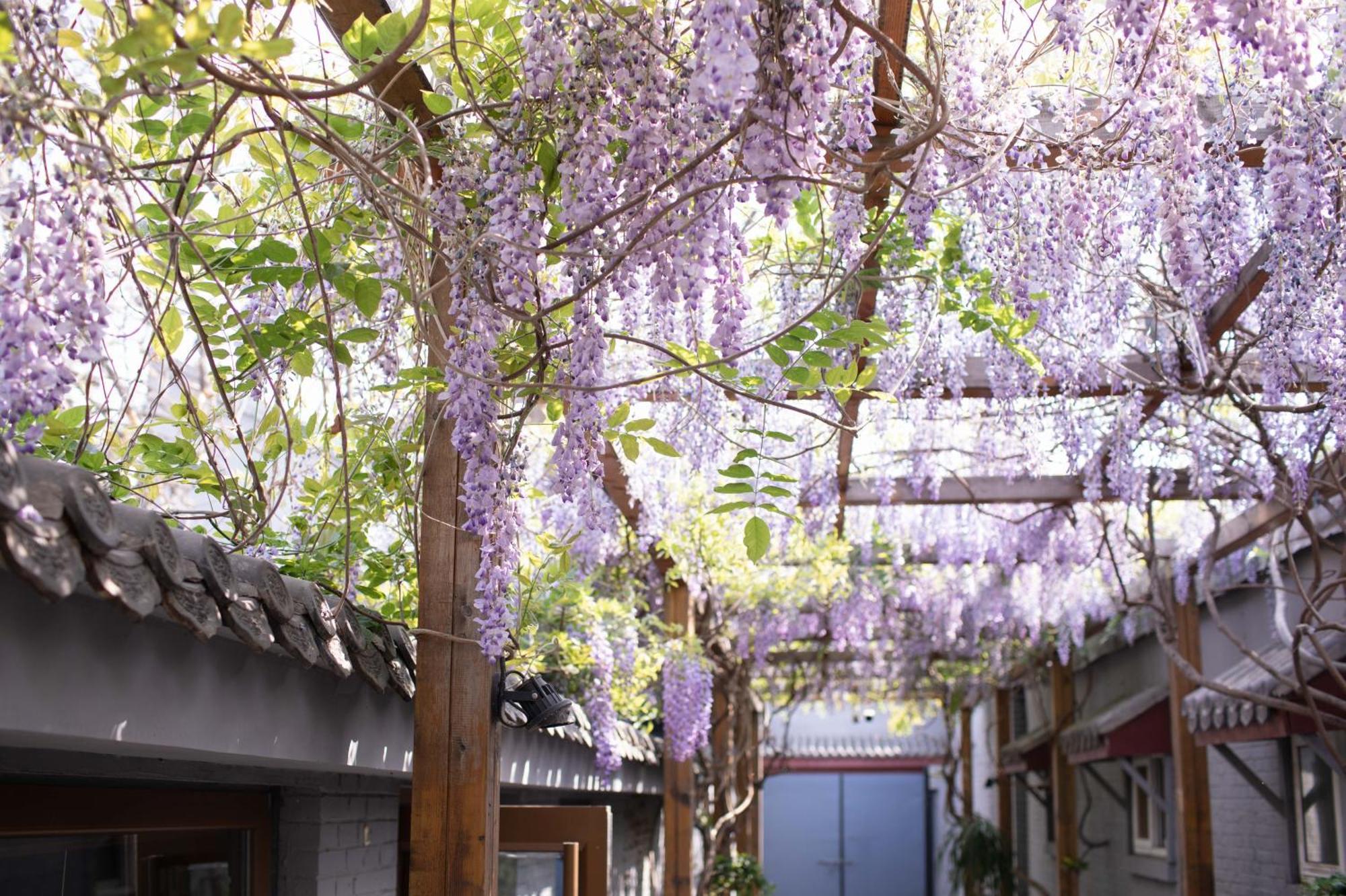 Guipu Beihai Courtyard Hotel Πεκίνο Εξωτερικό φωτογραφία